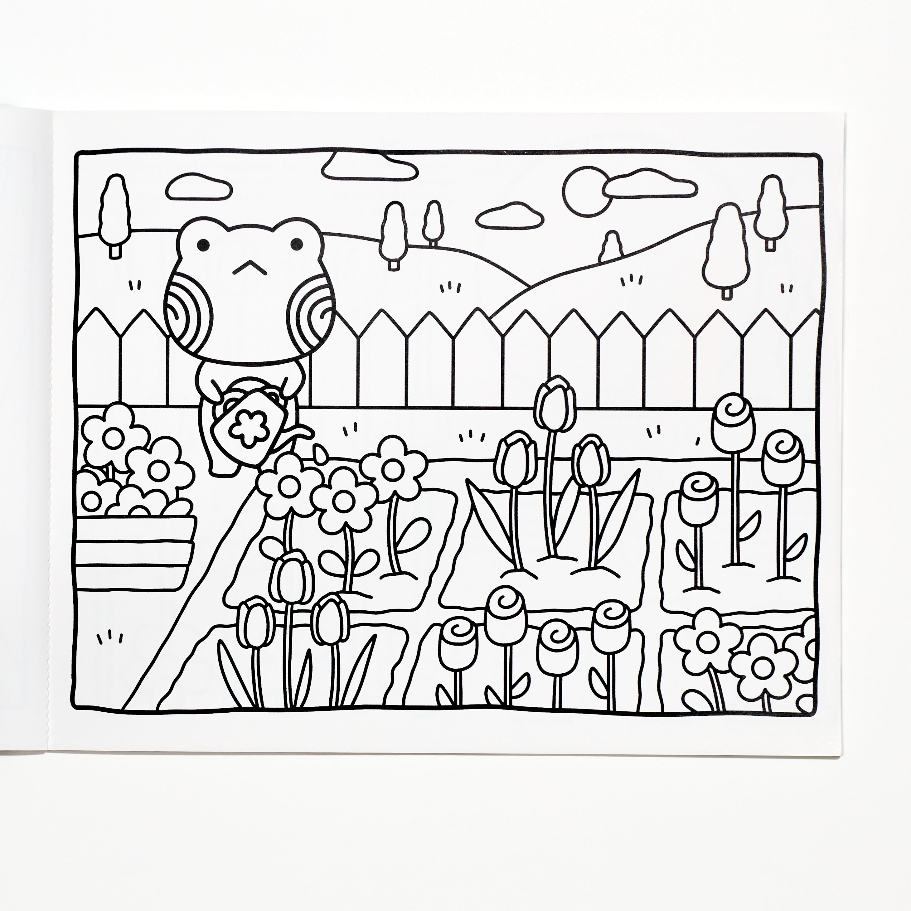Lil Doodle Friends Crafts & Coloring Book