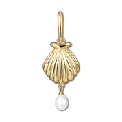 Gold shell pendant with a white pearl on a white background