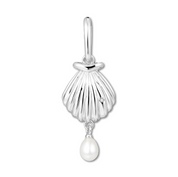Silver shell pendant with a pearl on a white background