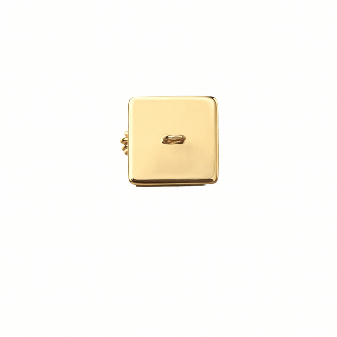 final_shoparl_charms.gif
